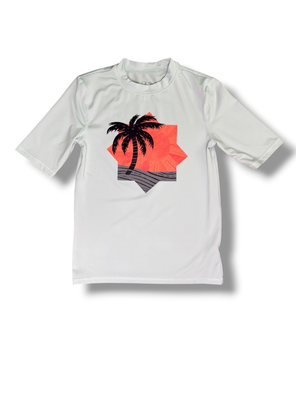 art class Boys Pale Blue Rashguard with Coral Palm Graphic